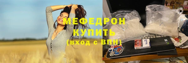 индика Алексеевка