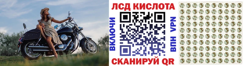 Наркотические марки 1500мкг  Дорогобуж 