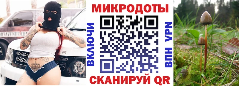 Псилоцибиновые грибы GOLDEN TEACHER  купить наркотик  Дорогобуж 